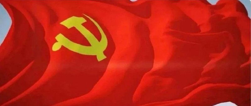 在新時(shí)代新征程上彰顯組織擔(dān)當(dāng)——黨的十八大以來黨的